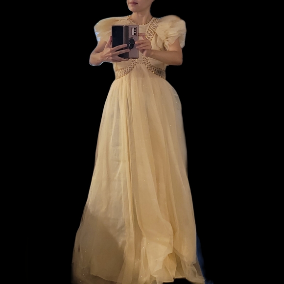 Zimmermann Dancer Glitter Tulle Ruffle Gown sz 1 NWT - Picture 5 of 9